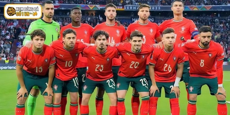 Đội Tuyển Bóng Đá Bồ Đào Nha - Điểm Danh Chuỗi Thành Tích 3 Đội tuyển Bồ Đào Nha đạt thành tích ngay lần đầu tham gia World Cup