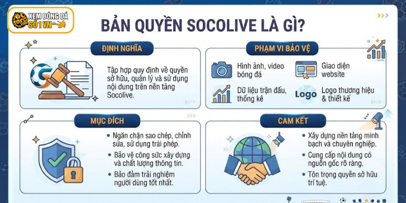 Vài nét về bản quyền Socolive